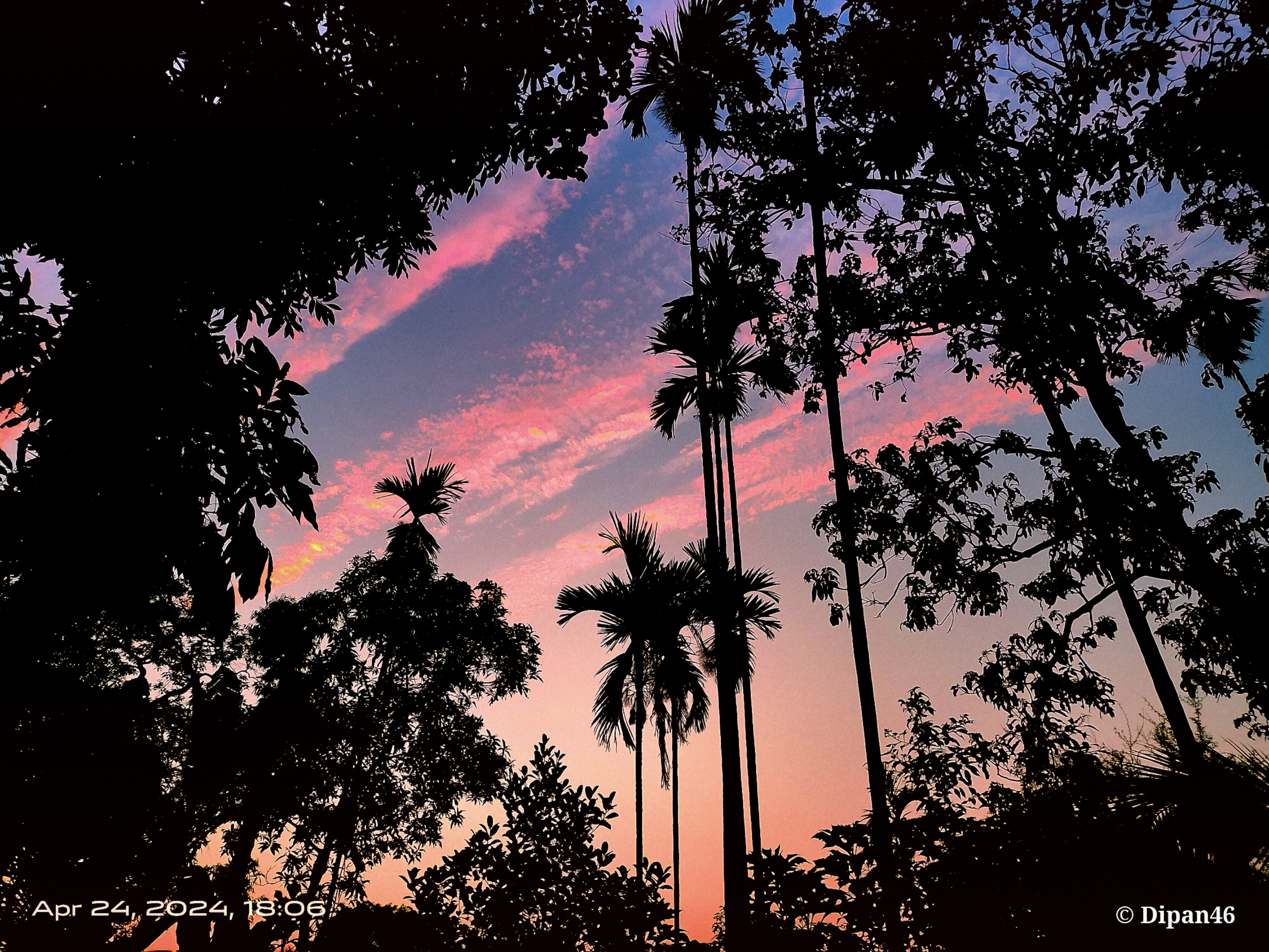 Description of image 1