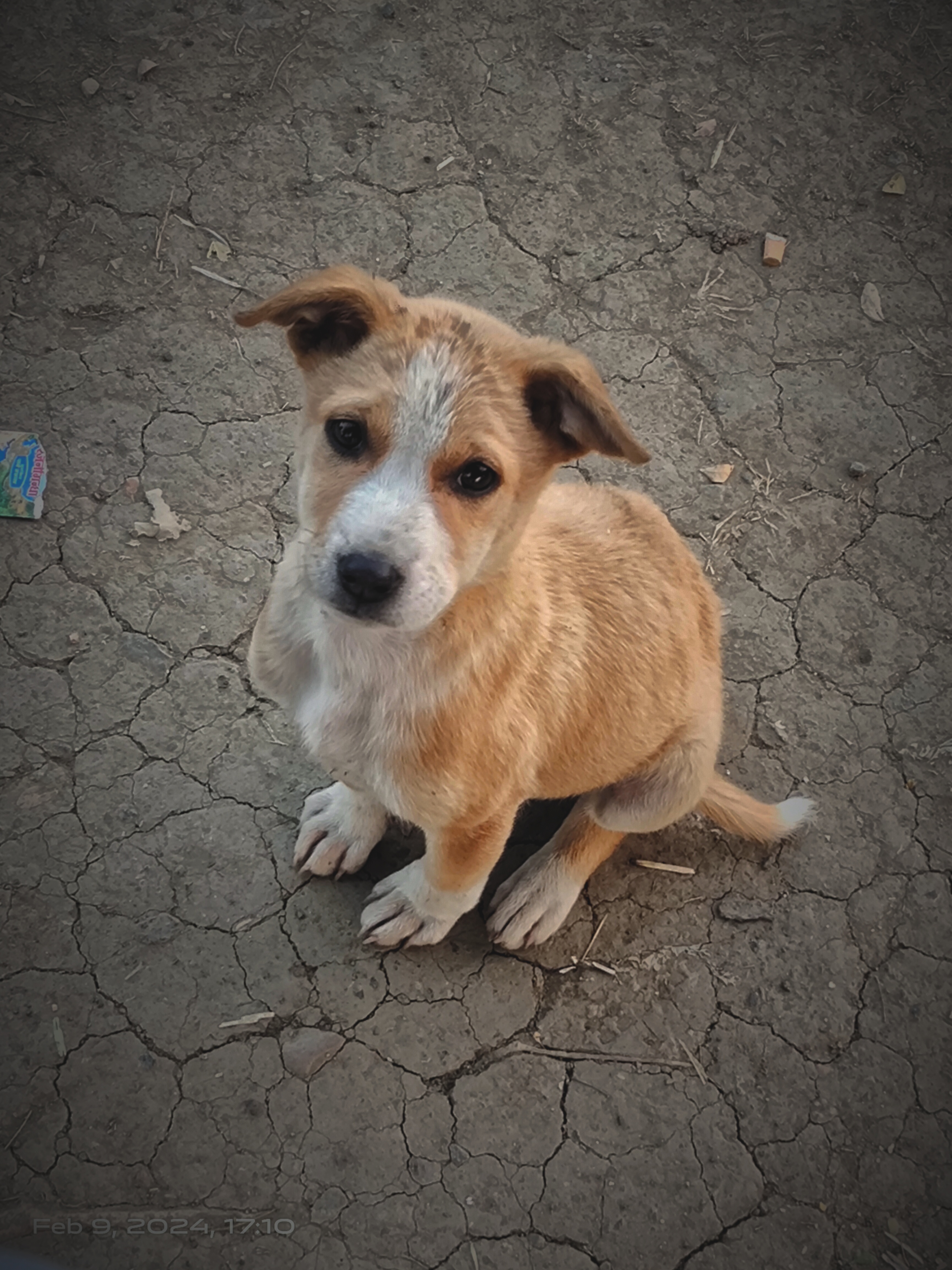 Description of image 2