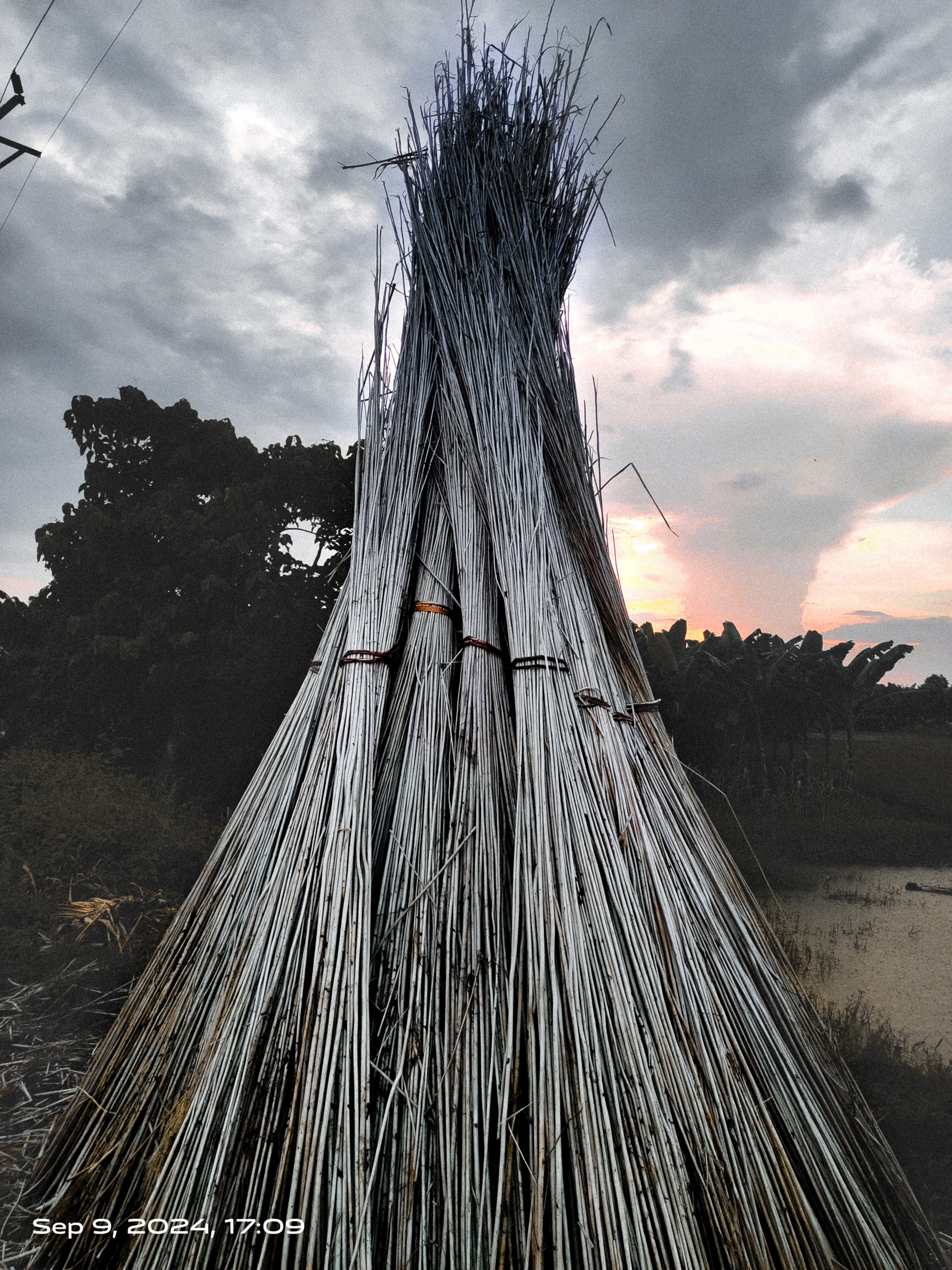 Description of image 5