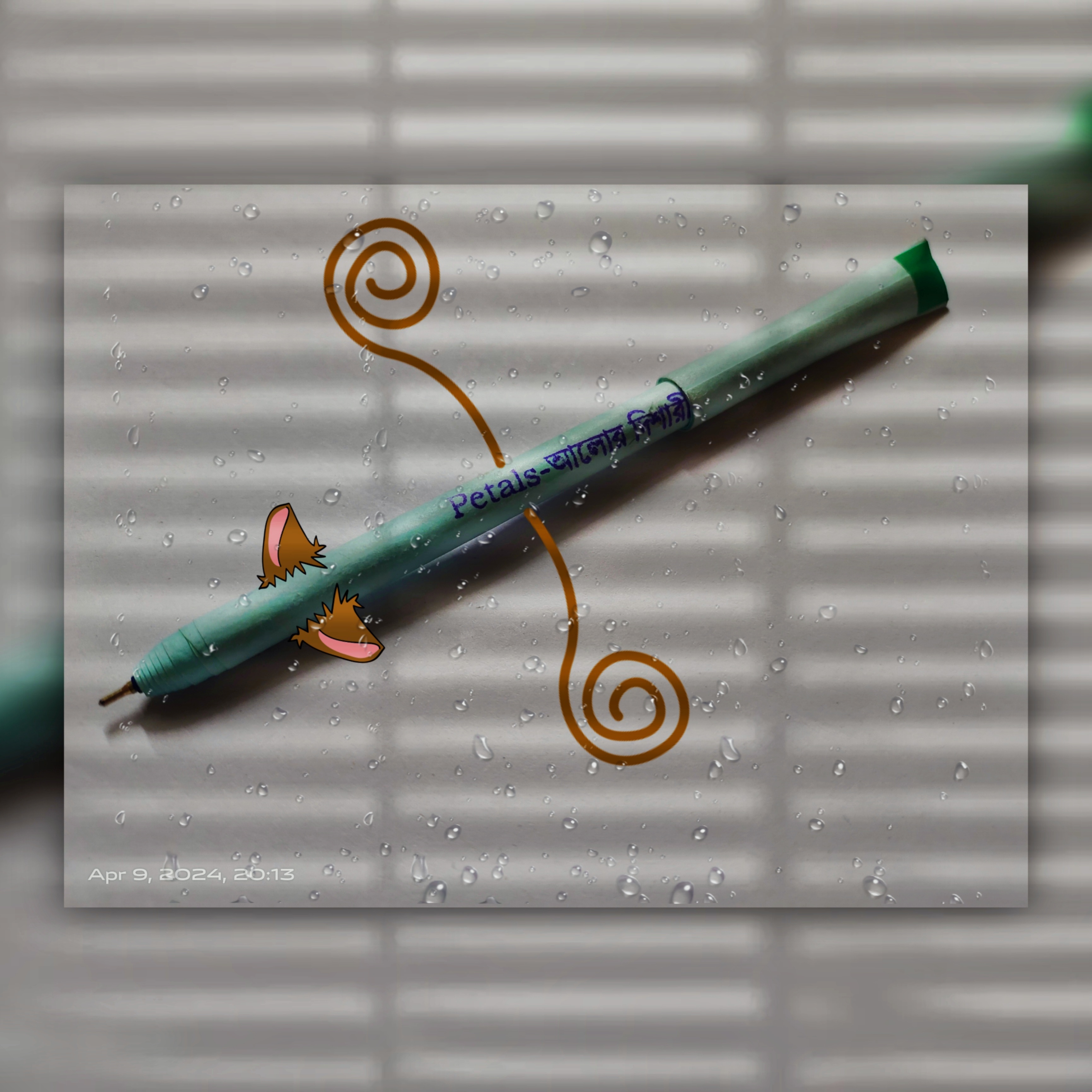 Description of image 7