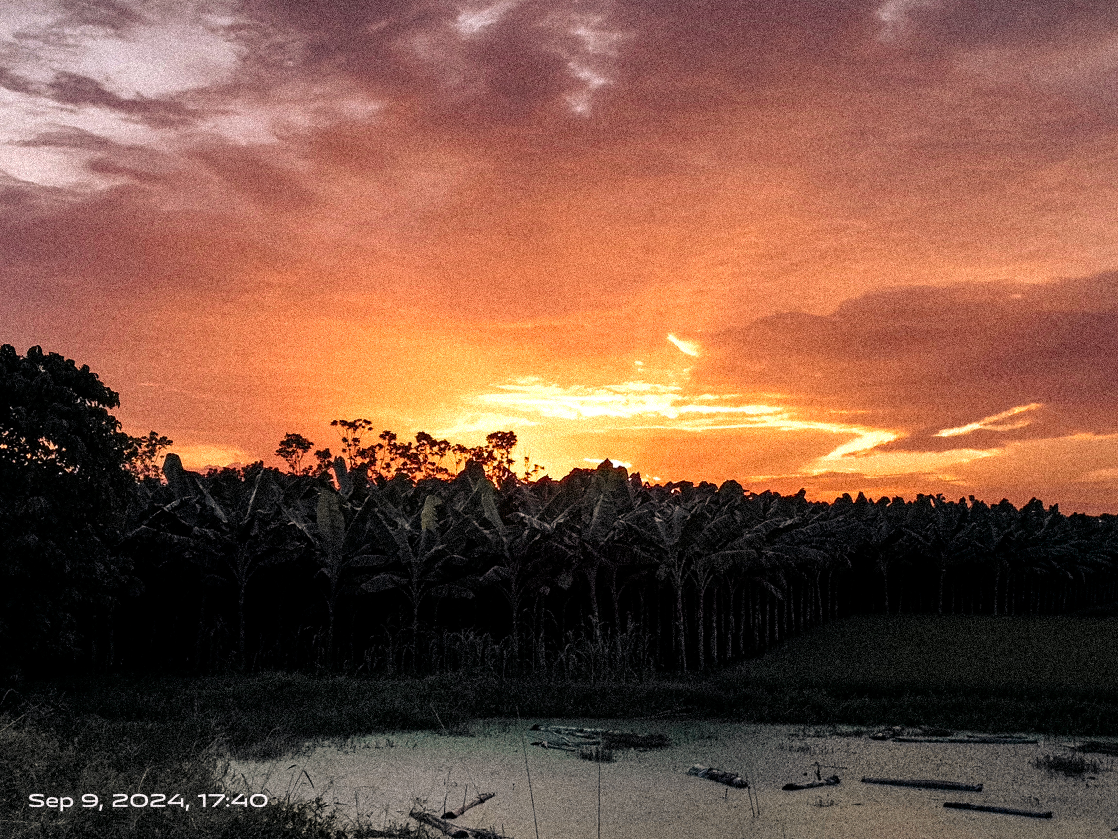 Description of image 9